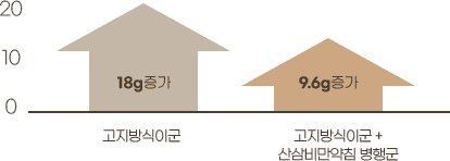 동물실험