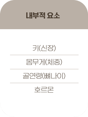내부적요소