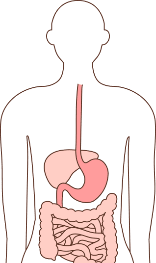 신체