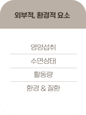 외부적, 환경적 요소